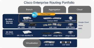 Enterprise routing systems installation, configuration, WAN and LAN network routing solutions